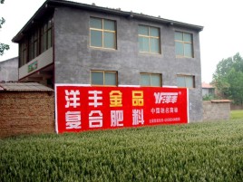 王屋如何让墙体广告展现最大化效果