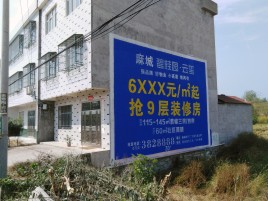 王屋墙体广告质量分析