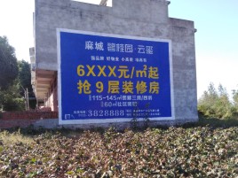 王屋品牌公司青睐的墙体广告