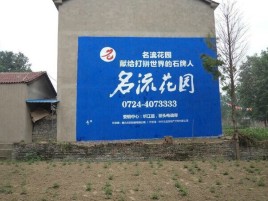 王屋农村墙体广告的长尾效应