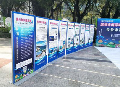 王屋KT板的种类和知识。